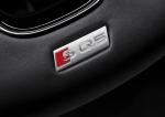 Audi SQ5 TDI 2013 года (WW)